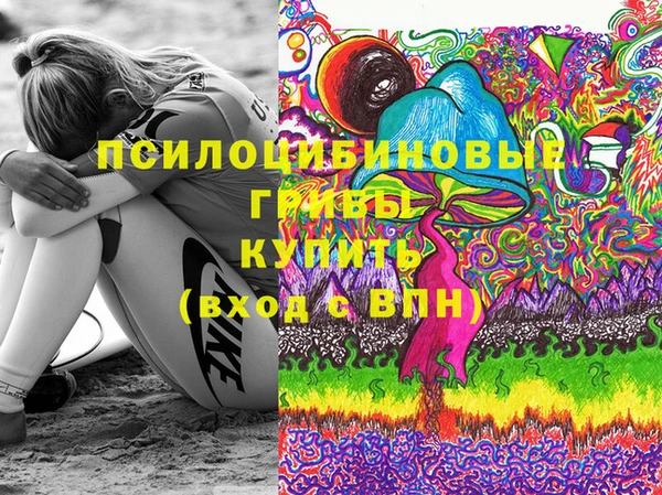 PSILOCYBIN Аркадак
