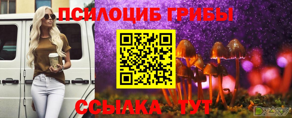 Псилоцибиновые грибы GOLDEN TEACHER Новомосковск